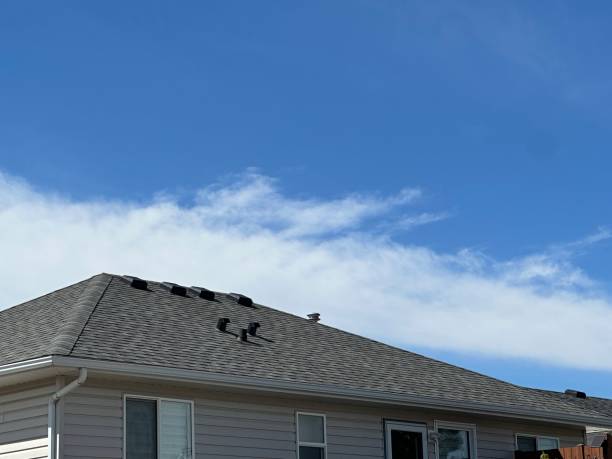 Best Rubber Roofing (EPDM, TPO)  in Fayette, MS